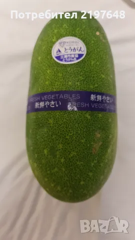 Семена от японска краставица, снимка 2 - Сортови семена и луковици - 49991264