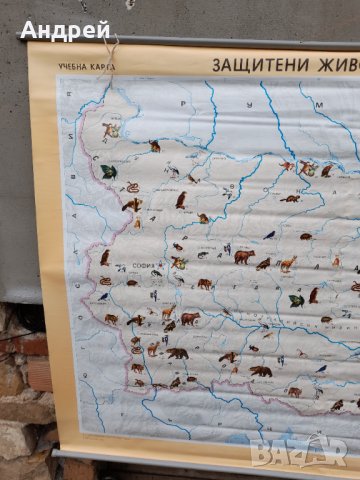 Стара учебна карта Защитени животински видове, снимка 2 - Други ценни предмети - 37982203