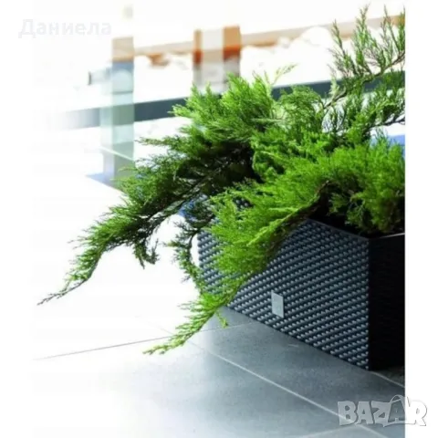 Модерна саксия с поливна система, снимка 6 - Саксии и кашпи - 48969527