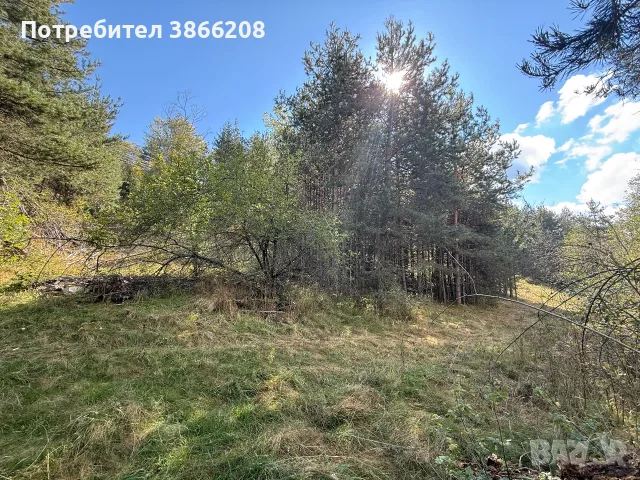 Земеделска земя , снимка 10 - Парцели - 56413709