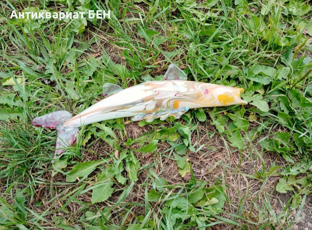 " СТЪКЛЕНА РИБА " 💯, снимка 1