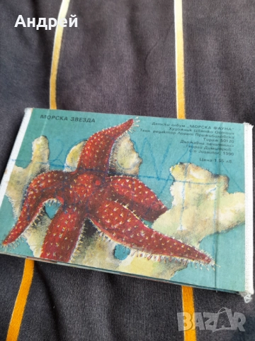 Детска книжка Морска Фауна, снимка 4 - Детски книжки - 52296637