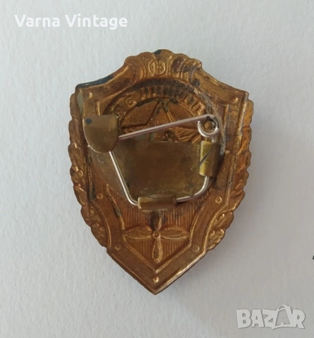Знак Отличник ВВС (Отличен войник на военновъздушните сили). бронз. емайл., снимка 4 - Колекции - 54132565