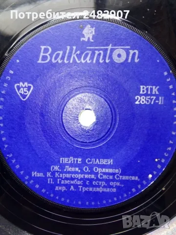 Грамофонна плоча, снимка 4 - Грамофонни плочи - 49434274