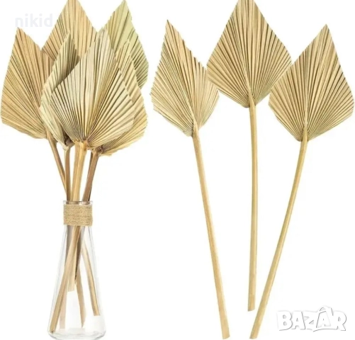 Златисти Бели Натурални Палмови листа ветрило Оригами Екзотични Тропически сухи цветя листо палмово, снимка 4 - Изкуствени цветя - 41519754