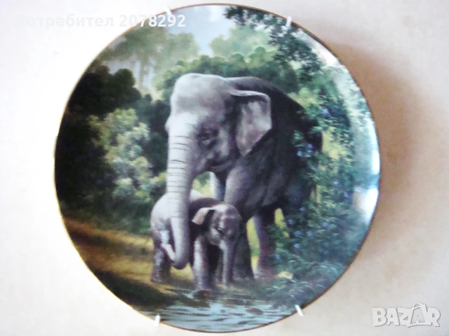 The Asian Elepfant от Will Nelson 