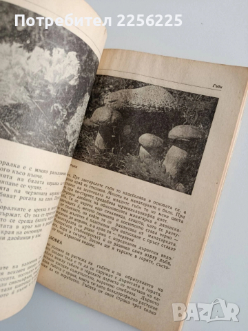 Горски свят, снимка 2 - Специализирана литература - 54300596