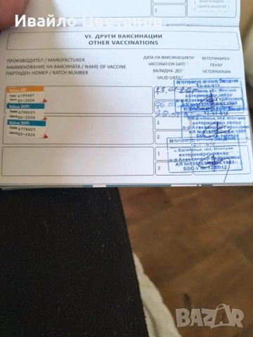 Алабай, снимка 9 - Алабай - 54011717