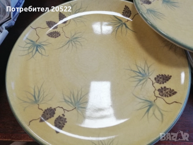 Красиви чинии , снимка 5 - Чинии - 52014719