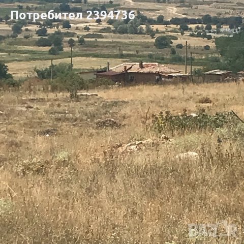 Промишлен имот гр.Стрелча 12дка, снимка 6 - Парцели - 37509940