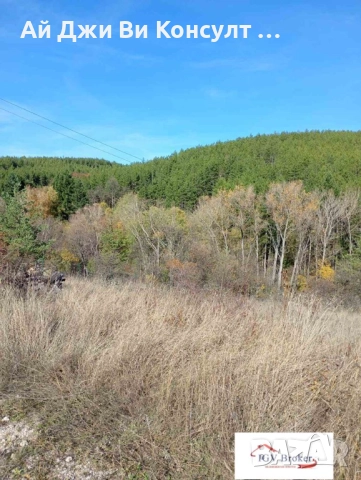 Парцел в с. Клисура, гр. Банкя, снимка 13 - Парцели - 52400664