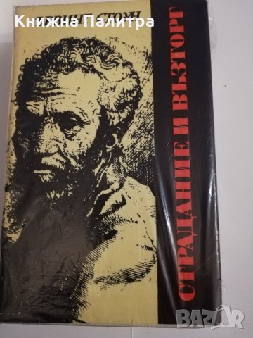 Страдание и възторг 