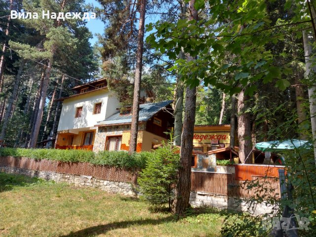 Продажба на вила в местност Цигов чарк, област Пазарджик , снимка 9 - Вили - 37180317