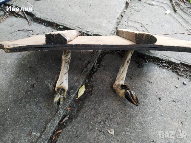 стара закачалка за стена, снимка 4 - Антикварни и старинни предмети - 29197665