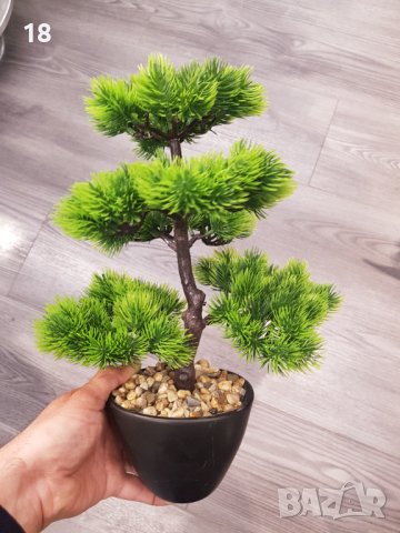 Бонсай , Бонзай, снимка 8 - Декорация за дома - 39304703