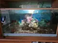 Аквариум с оборудване, снимка 1