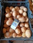 продавам  картофи сорая., снимка 4