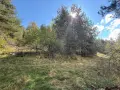 Земеделска земя , снимка 10