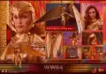 HOT TOYS WONDER WOMEN MASTER PEACE/ Хот Тойс Жената чудо нови, запечатани , снимка 1