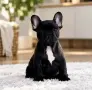 Френски Булдог кученца, снимка 5
