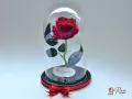 Вечна Роза в ГОЛЯМА Стъкленица с опция за БЕЗПЛАТНИ LED Светлини/ Подарък за Рожден Ден на Съпругата, снимка 1