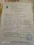 Родословни Добермани, снимка 10