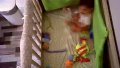 Детска кошара с матрак Pierre Cardin, поръчково легло мдф, снимка 6