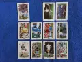 52 от 56 Dandy Rock 'n Bubble Cards 1986 г. + 44 от 54 Dandy Bubble Gum Euro Football Cards 1988 г., снимка 16