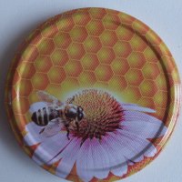 Хранилки с прозрачен капак за пчели 700 мл, снимка 17 - За селскостопански - 17798969