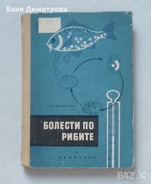 Болести по рибите, снимка 1