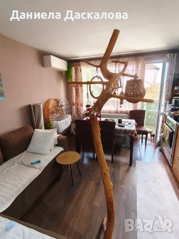 Продавам ръчно правена кацалка., снимка 3 - За птици - 56005695