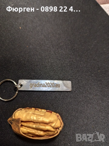  Орех Пекан - Фиданки , снимка 9 - Разсади - 47897202