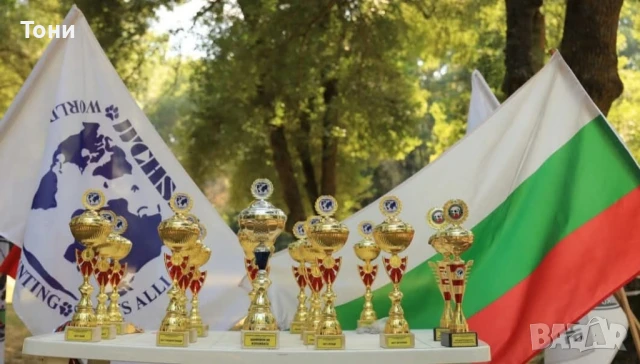 Продажба на купи , медали и плакети Промоция Тово спорт, снимка 3 - Колекции - 50990032