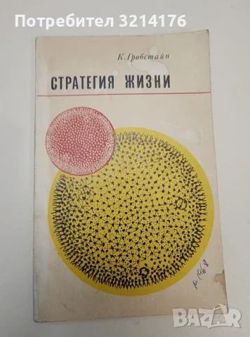 Стратегия жизни – К. Гробстайн