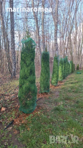 Мрежа за туя (мрежи за туи)