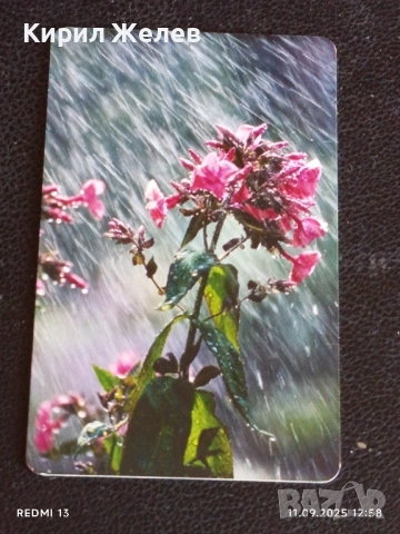 Четири фонокарти МОБИКА, БУЛ ФОН,БТК тема ЦВЕТЯ за КОЛЕКЦИЯ 27025, снимка 9 - Колекции - 51677548