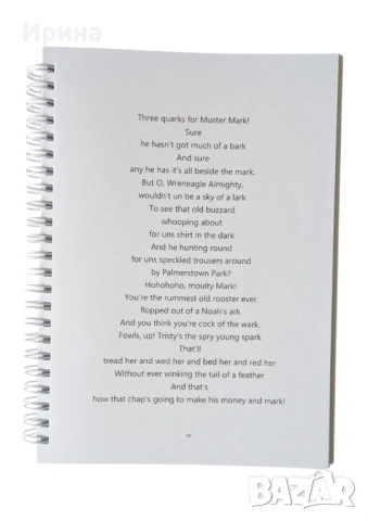 James Joyce's "Finnegans Wake" in quotation selections, снимка 8 - Художествена литература - 54081804