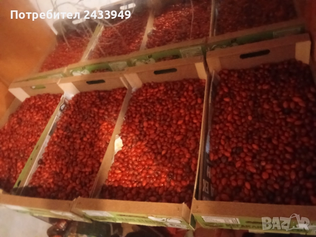 Продавам шипки еко район, снимка 3 - Други - 51966588