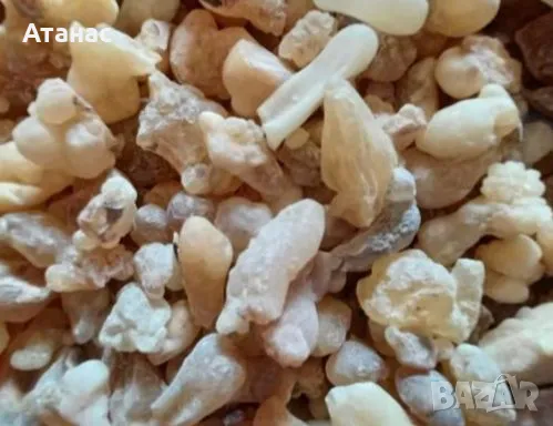 Бял Тамян от ОМАН натурален !!!