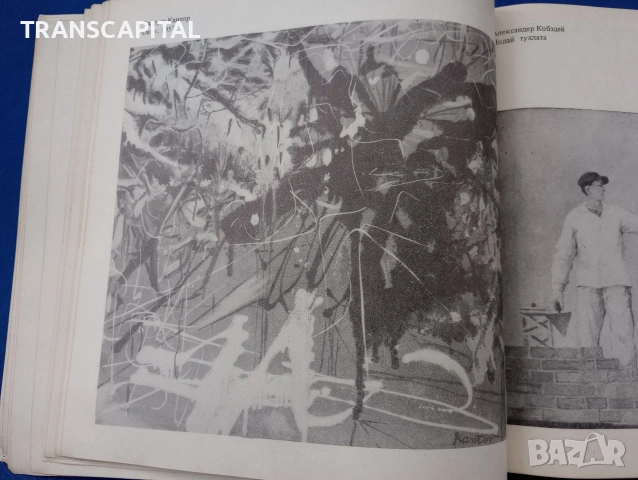 Съвременна полска живопис, снимка 4 - Други - 54341484