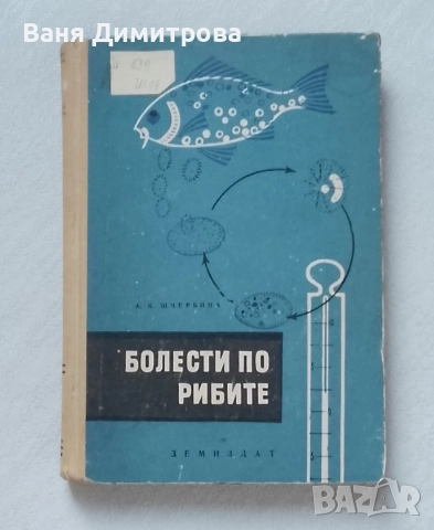 Болести по рибите, снимка 1