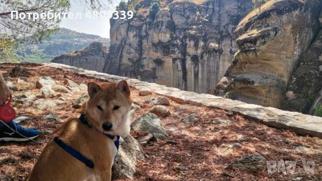 Метеорите - Осмото чудо на света с 2 нощувки от Пловдив, Пазарджик, София и Дупница