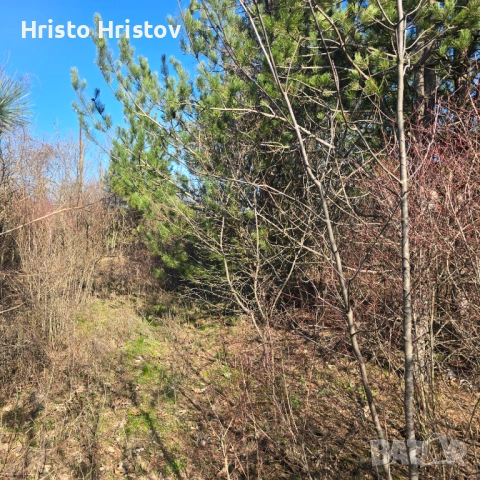 Продавам дървена вила над Белия кон и Рай, снимка 9 - Вили - 53897164