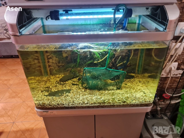 продавам аквариум 