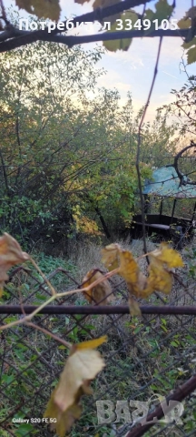 под наем , снимка 2 - Други услуги - 52558001