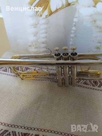 В тромпети, снимка 13 - Духови инструменти - 52803911