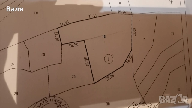 ,Продавам черешови насаждения в с.Лелинци, снимка 3 - Земеделска земя - 53954905