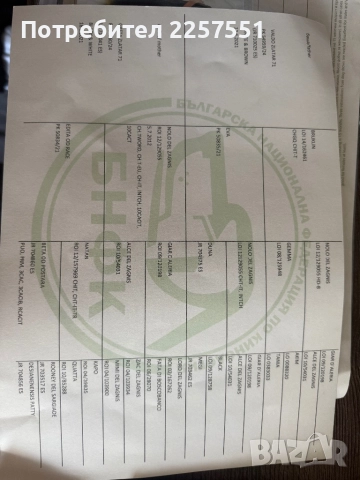 Английски сетер , снимка 4 - Английски сетери - 52481491