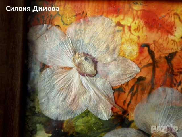 Орхидеи за подарък, снимка 5 - Ръчно изработени сувенири - 51484605