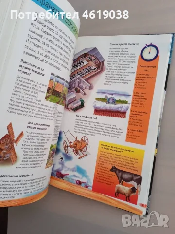 Книга 1000 въпроса и отговора, снимка 7 - Детски книжки - 55875397